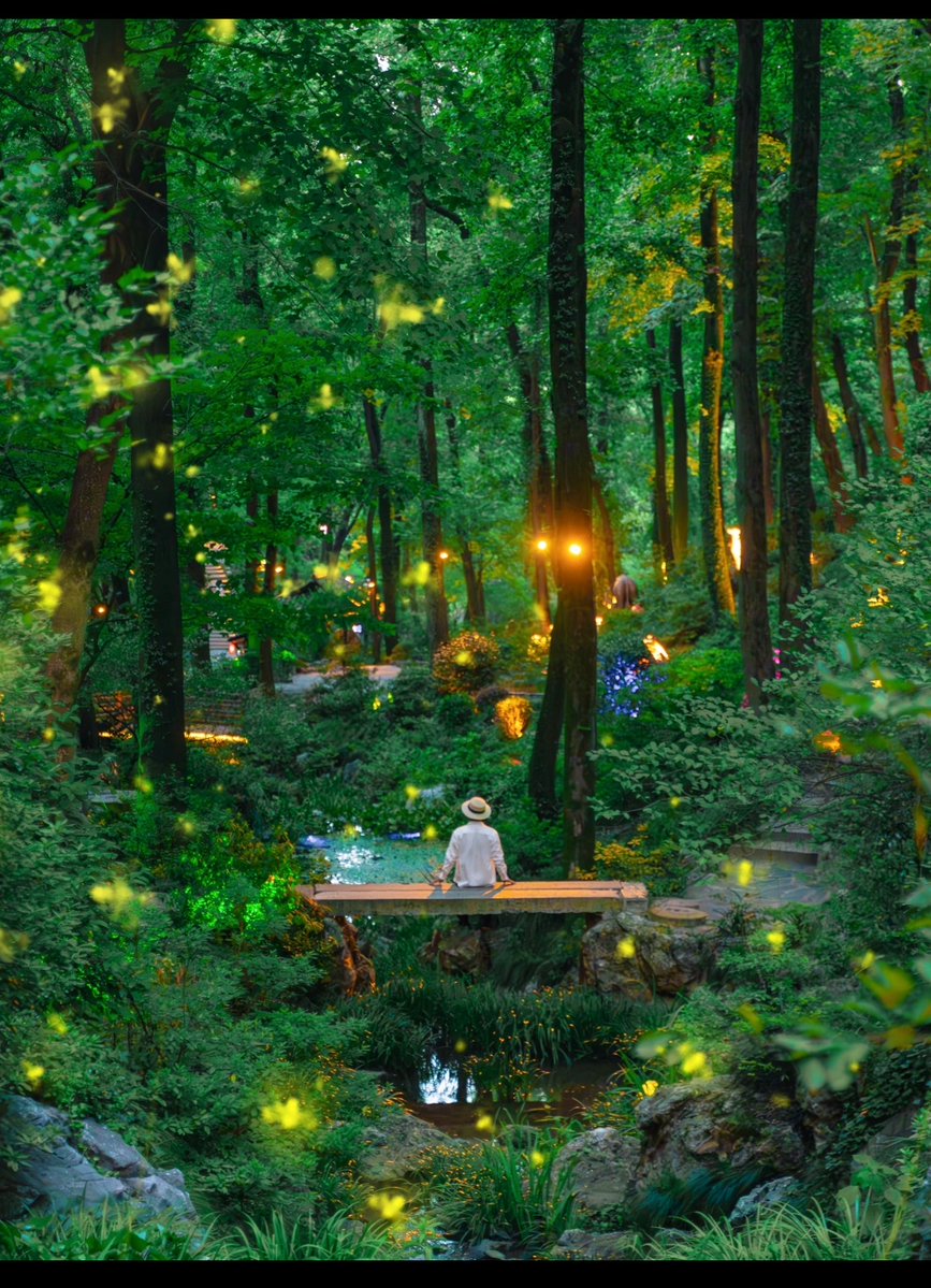 lisatai503170's tweet photo. [Today my little explorer taught me to find hidden fireflies in the backyard—pure magic in tiny, glowing forms.  #ParentingWin #FamilyFun]， https://t.co/VqBiyeNMZ6