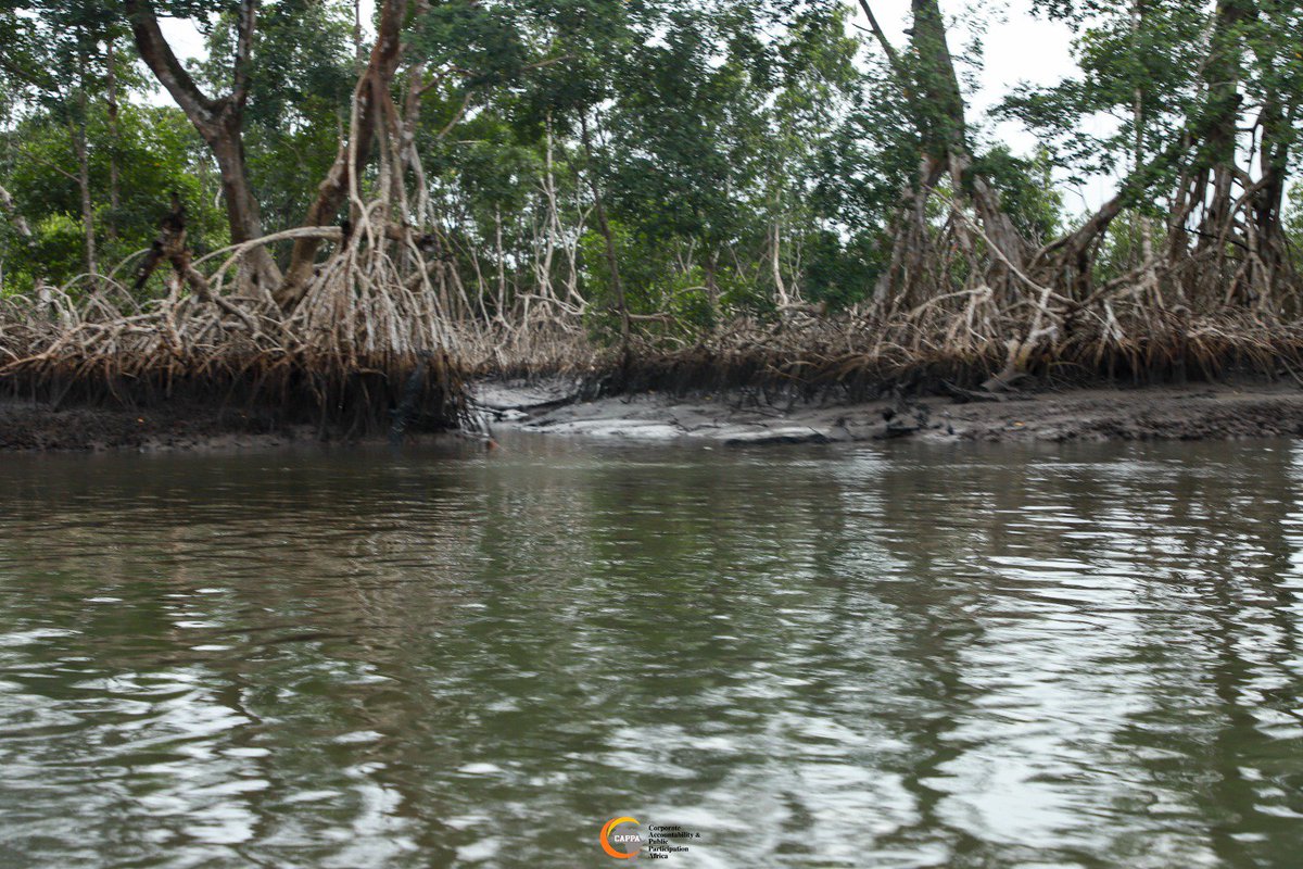 Beth_Yetunde's tweet photo. Fishing families in Bille face worsening hardship as contamination affects the creeks they depend on.
We demand support and accountability @FMEnvng
@NUPRCofficial @nosdraofficial @fmojustice @iamHSDickson @IkengaImo @SimFubaraKSC
Sign:https://t.co/FxXXMj8Jr9
#SaveBille https://t.co/zb9RkFgCsn
