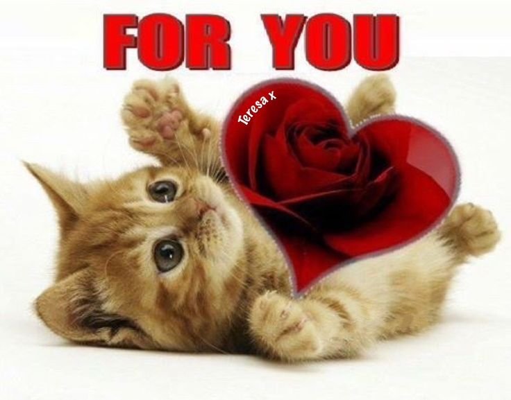 Y0uS33ThisAng3's tweet photo. @MikKzx1_ https://t.co/uTrIm4DY0M
