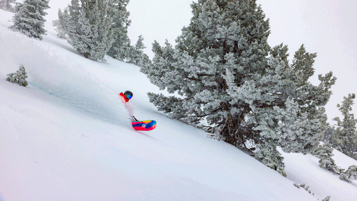 BigBearMtResort's tweet photo. LIMITED TIME DEAL: The all-new BBMR Double Play is on sale now. Plan ahead and save with two all ages lift tickets for just $149. Learn more at https://t.co/iFlVHdNDxf https://t.co/0drXKEW8K5
