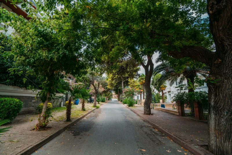 LevineArch's tweet photo. Did you know?
.
.
.
Property values and home sale prices are generally higher on tree-lined streets.
Besides environmental and curb appeal, mature trees can add anywhere from 3% to 15% to a property's market value, while also helping homes sell faster.
#realestate #PlantATree https://t.co/LKeG56ZhQI