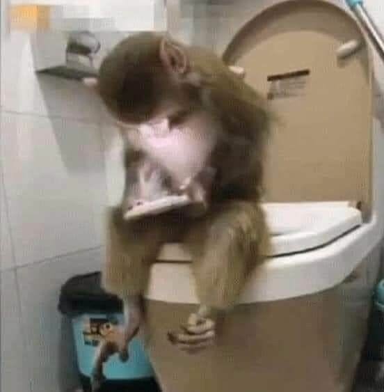 A blurry, low-quality image showing a small monkey sitting on a toilet lid while holding and looking down at a smartphone.