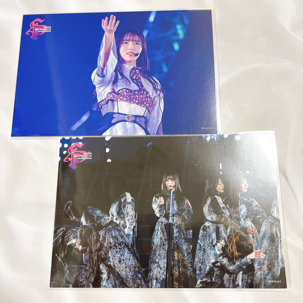 Miimofy's tweet photo. 櫻坂46 5th アニラ ポストカード 
トレ トレード 交換

【 譲 】 画像1～3枚目
5th 静寂 幸坂 小島 谷口 山下 目黒
4th 中嶋 山下

【 求 】画像4枚目
いくもど スタオバ(藤吉ソロ) ドロ旋

郵送トレ
よろしくお願いいたします🙇‍♀️ https://t.co/JM27hXtcRp