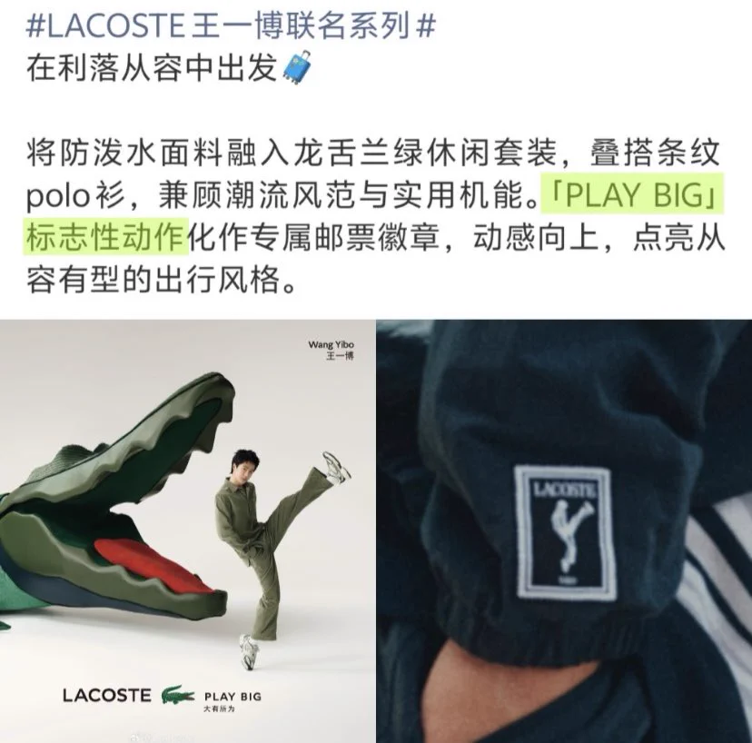 王一博手幅収納冊　　レア 11点 夕顔🦁🐰. on X: 