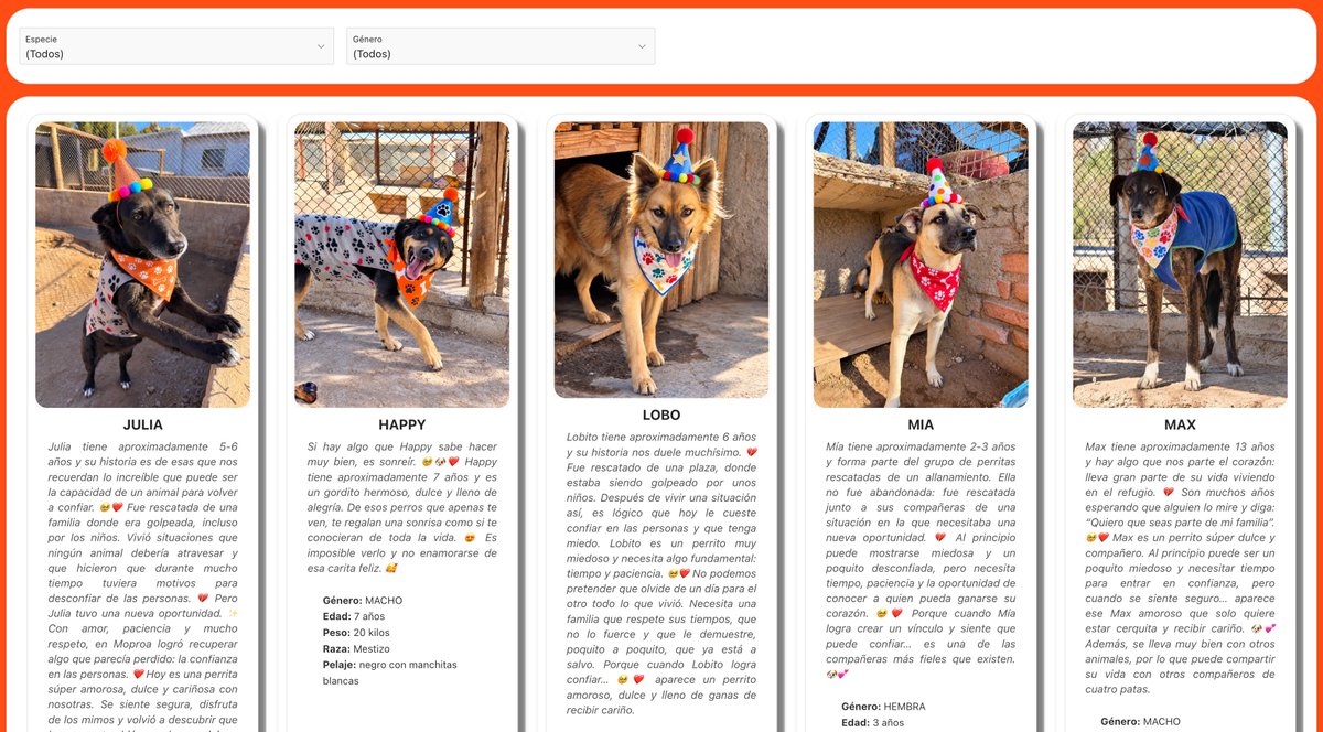 lopresti_lh's tweet photo. 🐾 Hay muchos perros y gatos que esperan una familia, un hogar y una nueva oportunidad. Cada uno tiene su propia historia y mucho cariño para dar.
💻 Por eso, desde la Municipalidad de Las Heras lanzamos la nueva plataforma de Adopción Responsable Online. Una herramienta que permite conocer a los animales que están disponibles e iniciar el proceso de adopción de manera sencilla desde nuestra web.
🫂 Adoptar no es solamente llevar un animal a casa. Es incorporar un nuevo integrante a la familia y asumir el compromiso de cuidarlo, respetarlo y acompañarlo durante toda su vida. Es una decisión que debe tomarse con responsabilidad, pero que también puede transformar para siempre la vida de un animal y la de quienes le abren las puertas de su hogar.
🐈 Te invito a conocer nuestra nueva plataforma de adopción y encontrar a quien puede convertirse en un nuevo integrante de tu familia https://t.co/0Scv3WOvDx