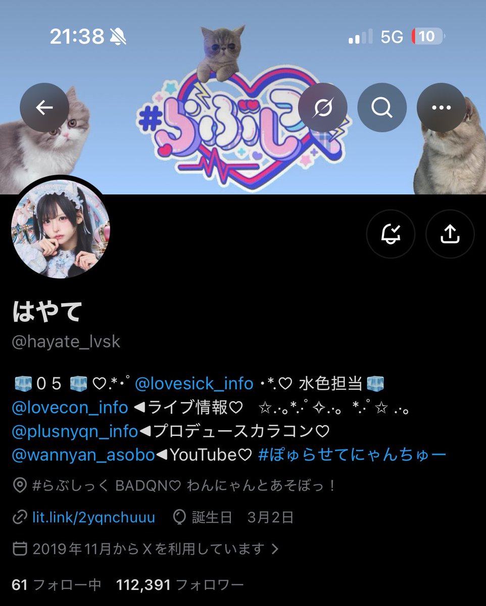 necotyh_'s tweet photo. こっちも置いときます https://t.co/0GVi560OOa