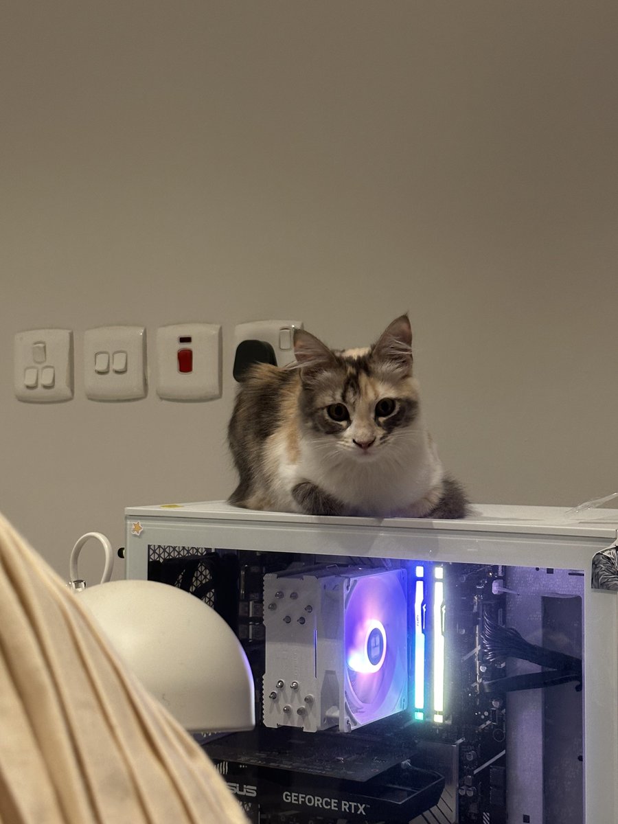 s1lenthills's tweet photo. HER FIRST LOAF!!! https://t.co/GOmSP8wuVe