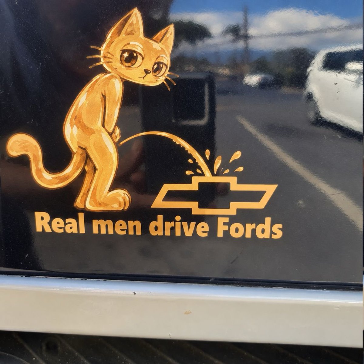 Pissthecat's tweet photo. The rednecks want your pisscat tokens https://t.co/9yLumgUJ4Y