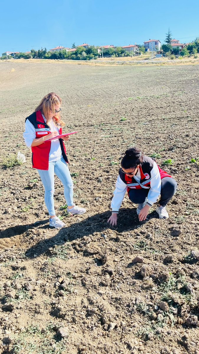 mamaktarim's tweet photo. İlçemizde 2026 yılına ait doğru ürün beyanı tespiti çalışmaları kapsamında arazi kontrollerimiz titizlikle devam etmektedir. Üreticilerimizin beyanlarının sahadaki mevcut durumla uyumunun kontrol edilmesine yönelik çalışmalarımız, ilgili mevzuat çerçevesinde sürdürülmektedir. https://t.co/pgqWwRrRa5