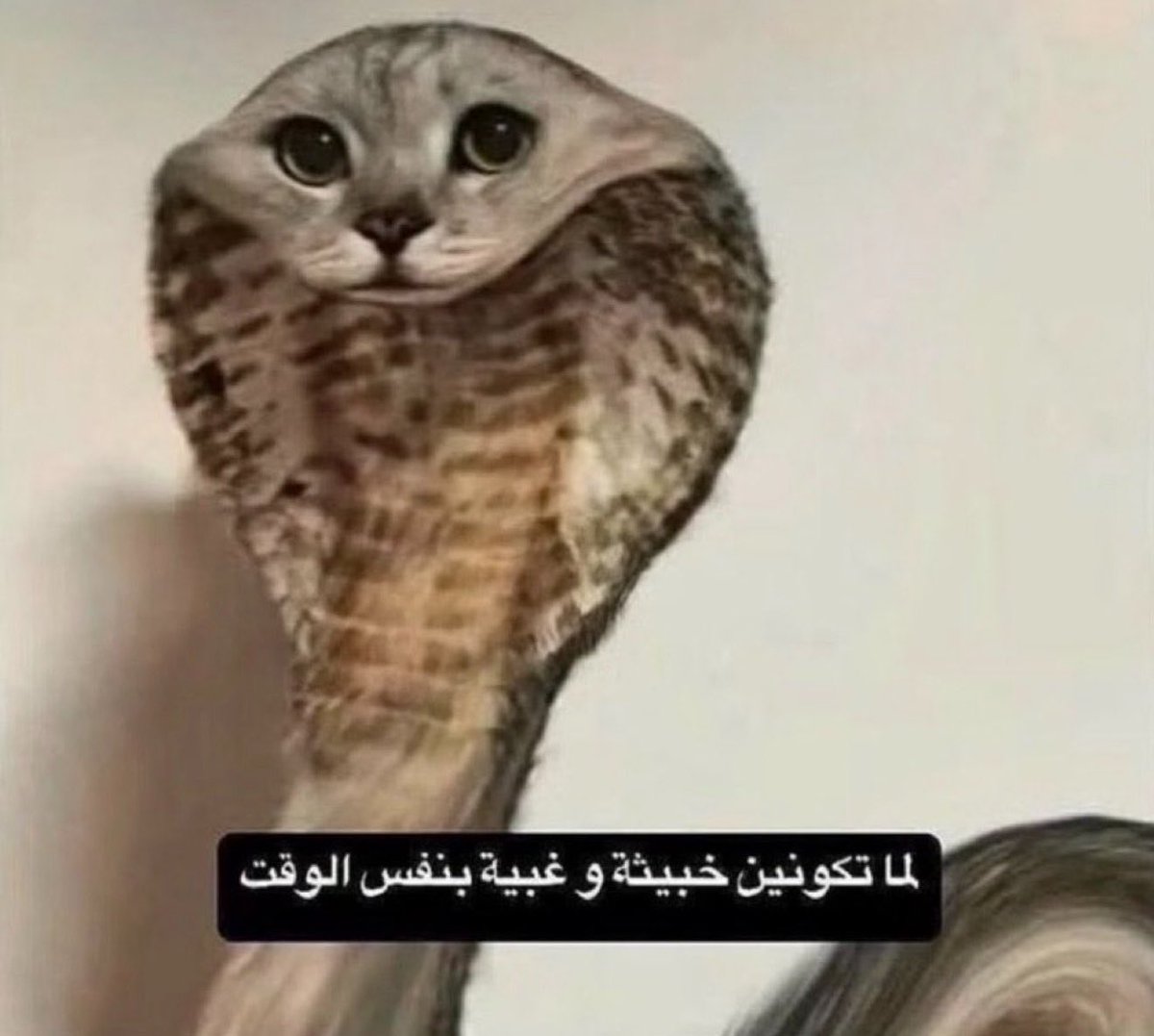 Sir39_'s tweet photo. @nosisgirldiary ههههههههههههههههه https://t.co/I1naqBFjh0