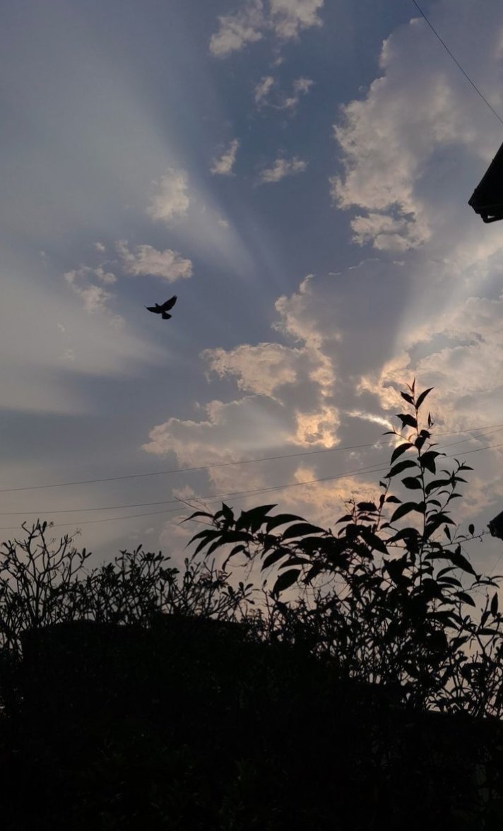 Gopal_chauhan__'s tweet photo. सुननें को हैं ये मन आतूर प्रीत की वाणी
तुम मुख से चार मोती  छलका दो पाखी

आनन-फानन में हैं जग फिरता सब जन
तुम सुख के चार सागर खनका दो बाक़ी

घुमड़-घुमड़ के हारे थकें चल रहें ये प्राण 
तुम दो घड़ी बरखा बादल बरसा दो पानी

𝙶𝚘𝚙𝚊𝚕𓂃✍︎ https://t.co/AZc73YAemY