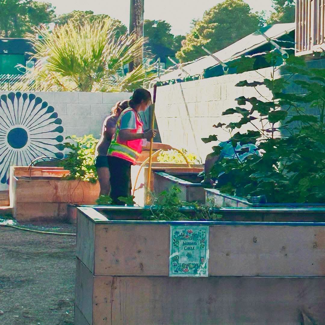 ForRecovery's tweet photo. 🫛🍅🥕🌻Throwback to garden club in the springtime. We almost forgot about all the fruits and veggies we can grow before the summer heat set in! It's almost time for us to replant, any suggestions on what we should grow next?

 #veganrecipes #Summer2026 #UnitedHealthcare #gardenclub #gardener #gardening  #veggies #growth #SouthernNevada #MentalHealth #Nevada #NV #VegasLocals #sober #sobriety #PeerSupport  #recovertogether #LasVegasLocals #SoberSocial #wedorecover #collective #SocialCapital #ODAAT #recoverycommunity #clubhouse #recovery #RecoveryPosse  #throwback #ThrowbackThursday #ForRecovery