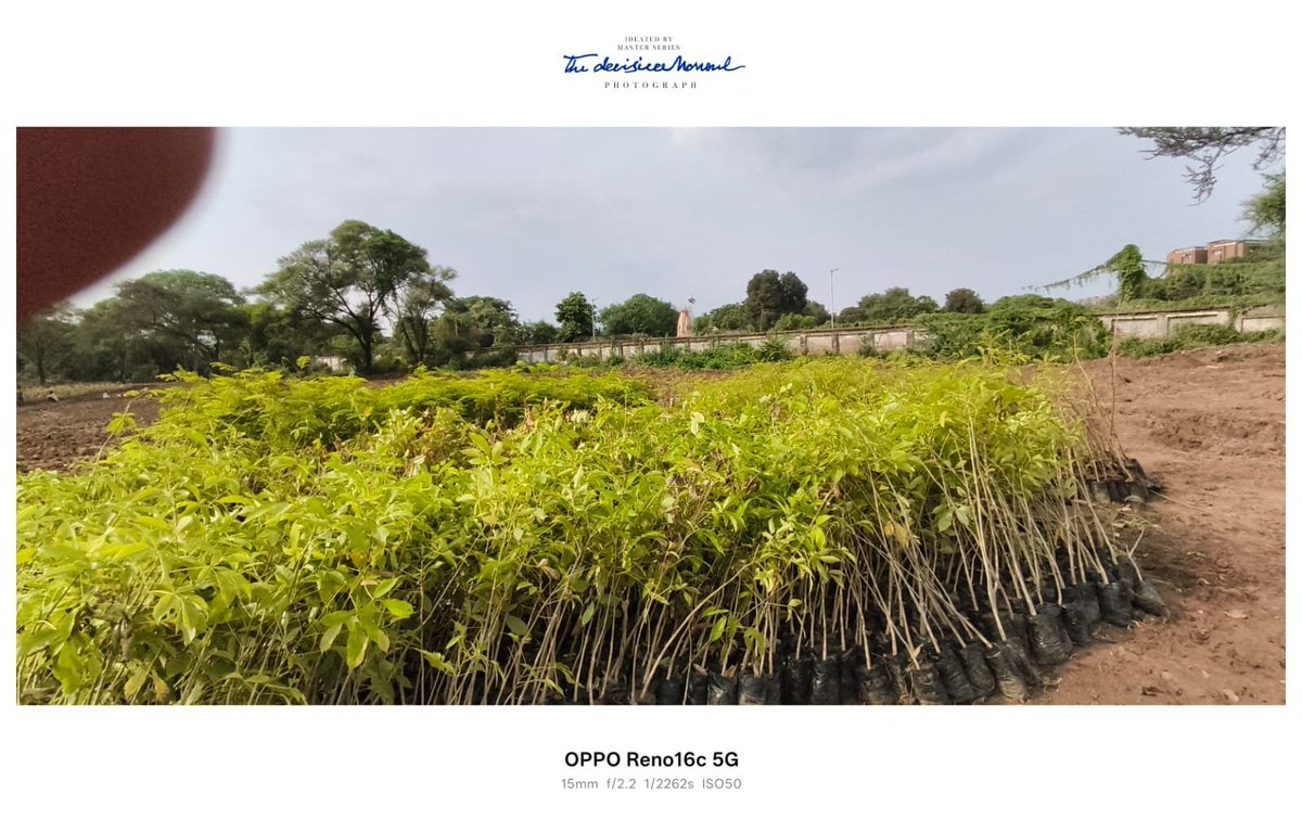 AcaciaEco's tweet photo. 50,000 saplings ready to be planted!
#Ahmedabad #Miyawaki #MiyawakiForest #UrbanForest #CarbonOffset #GreenIndia #ClimateAction #Afforestation #India #UrbanGreening #Forest https://t.co/xdoCxcTk6A
