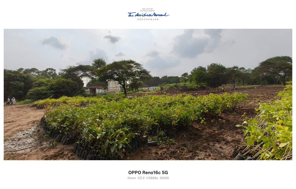 AcaciaEco's tweet photo. 50,000 saplings ready to be planted!
#Ahmedabad #Miyawaki #MiyawakiForest #UrbanForest #CarbonOffset #GreenIndia #ClimateAction #Afforestation #India #UrbanGreening #Forest https://t.co/xdoCxcTk6A
