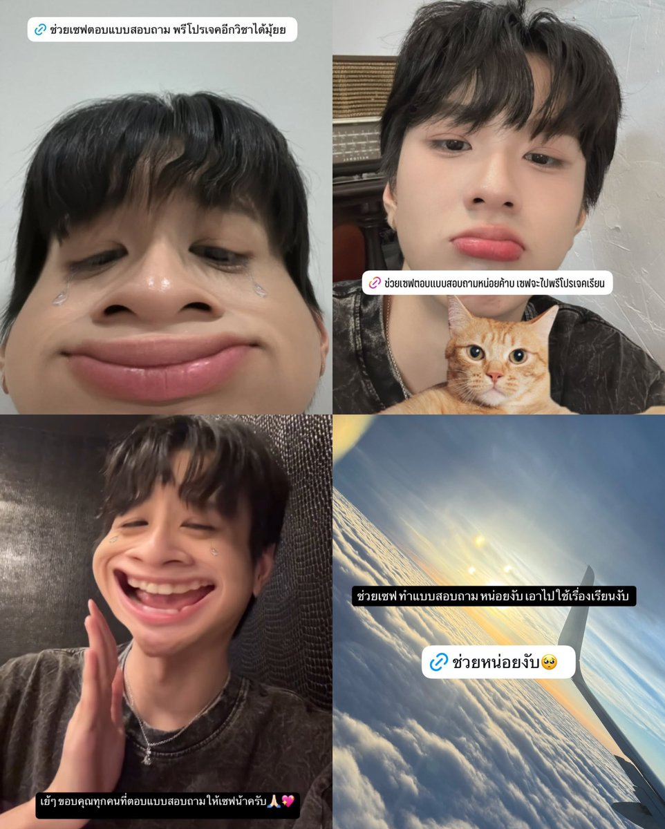 imyourbabemeow's tweet photo. กลับมาอีกครั้งกับแม่จ๋าช่วยการศึกษาน้องเซฟ 🥹 https://t.co/TiiXJ4NhDG