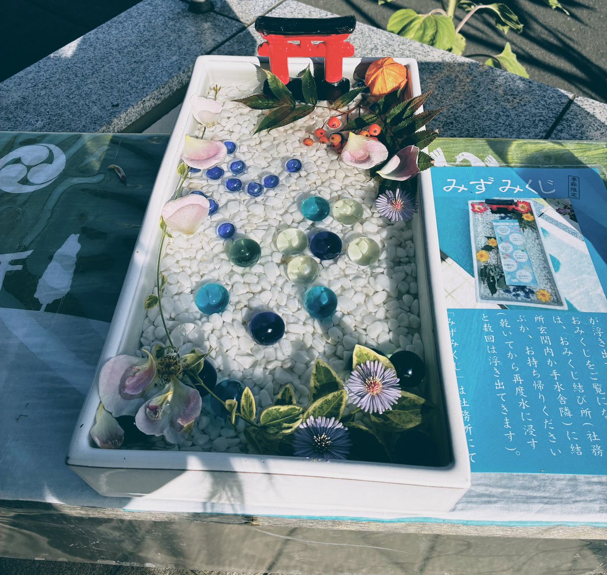 tkhs0315555's tweet photo. 再度の野望は叶わなかったものの、
先日パワースポットに伺った際に
ひまわりを見ることができました🌻

来年はたくさん巡るぞ〜〜〜！！！

#変スト #みん未 先生@minMI4Q https://t.co/51LxQr2xCp
