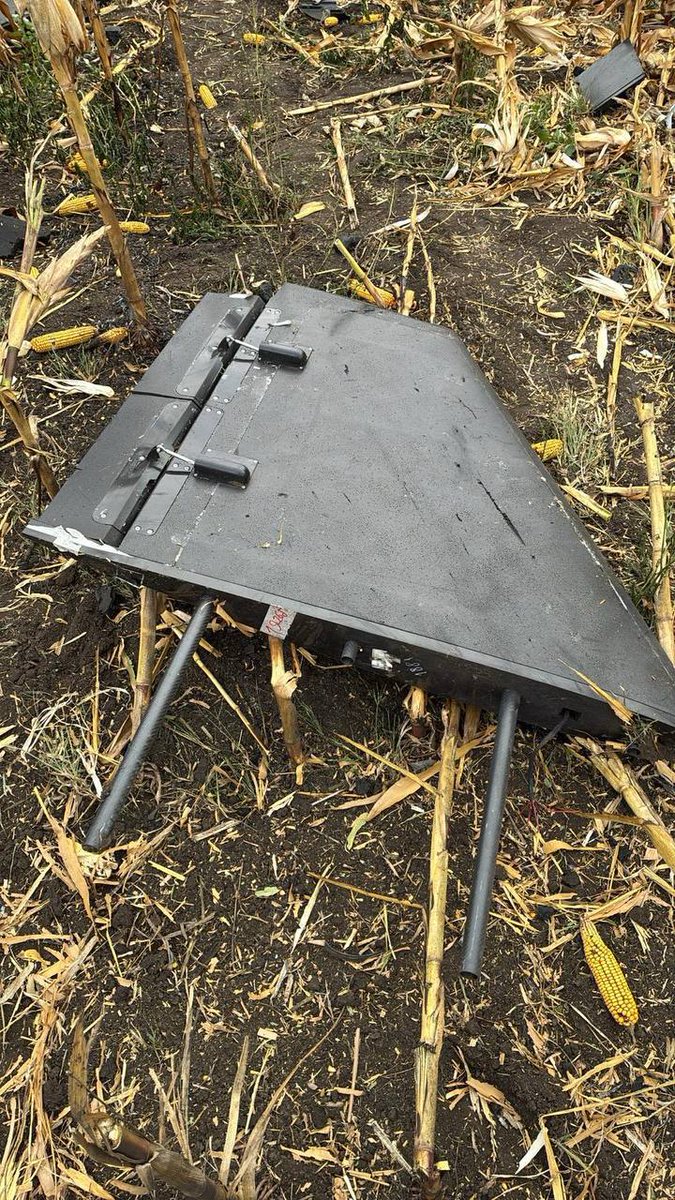 nexta_tv's tweet photo. 🇲🇩 Two Russian drones exploded in Moldova this morning. In total, four UAVs violated the country’s airspace

One of the downed drones was preliminarily identified as a Russian Gerbera.
