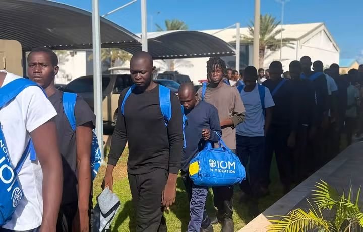 rgowans's tweet photo. #Libya 24.09.26 - DCIM repatriated from East Tripoli Immigration Detention Center in Tajoura 93 #migrants of Malian nationality via Mitiga International Airport in Tripoli. #migrantcrisis #DontTakeToTheSea #seenotrettung #Frontex https://t.co/1mehSbUIdH