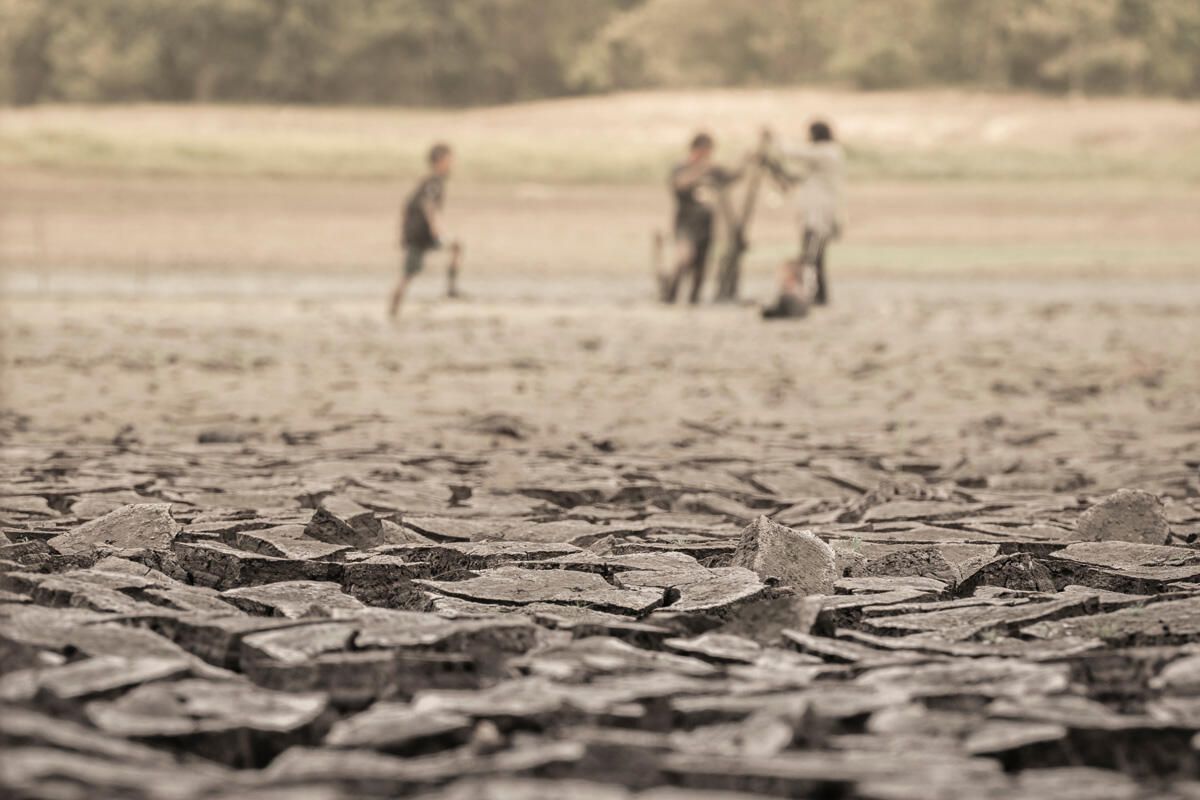 NatureAtCal's tweet photo. Extreme heat from the super El Niño event could cause 451,000 deaths through February. A new @impact_lab report co-authored by @AreBerkeley Professor Tamma Carleton pinpoints actions that could save tens of thousands of lives across the Global South. https://t.co/cQvrwpcNIH https://t.co/7dURpk1IcQ