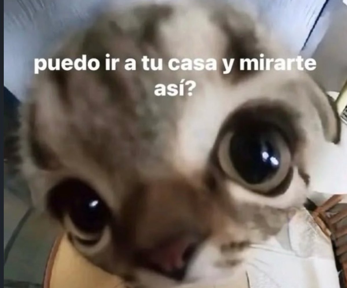 skereunpesado's tweet photo. https://t.co/IJ3Br5AAzq