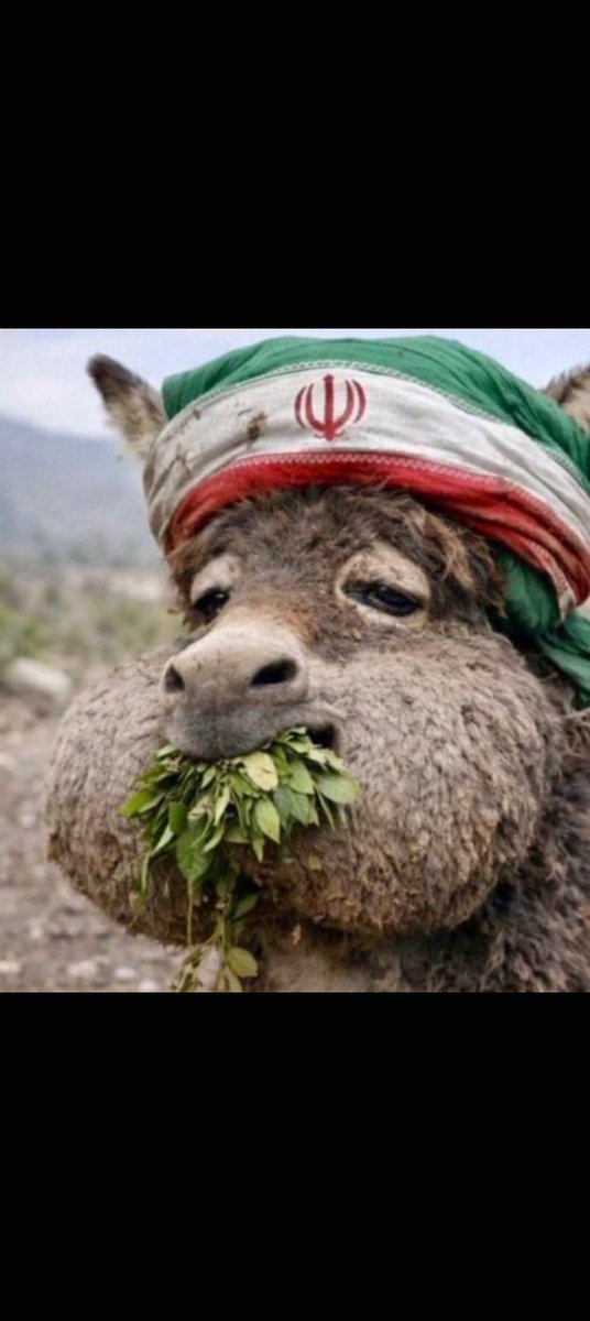 Dena626941's tweet photo. @lktm823186 @nmoqbil1 الله برئ منكم ورسوله شوية بلطجيه ومحششين 🤕😂 https://t.co/QAPg6uLagd