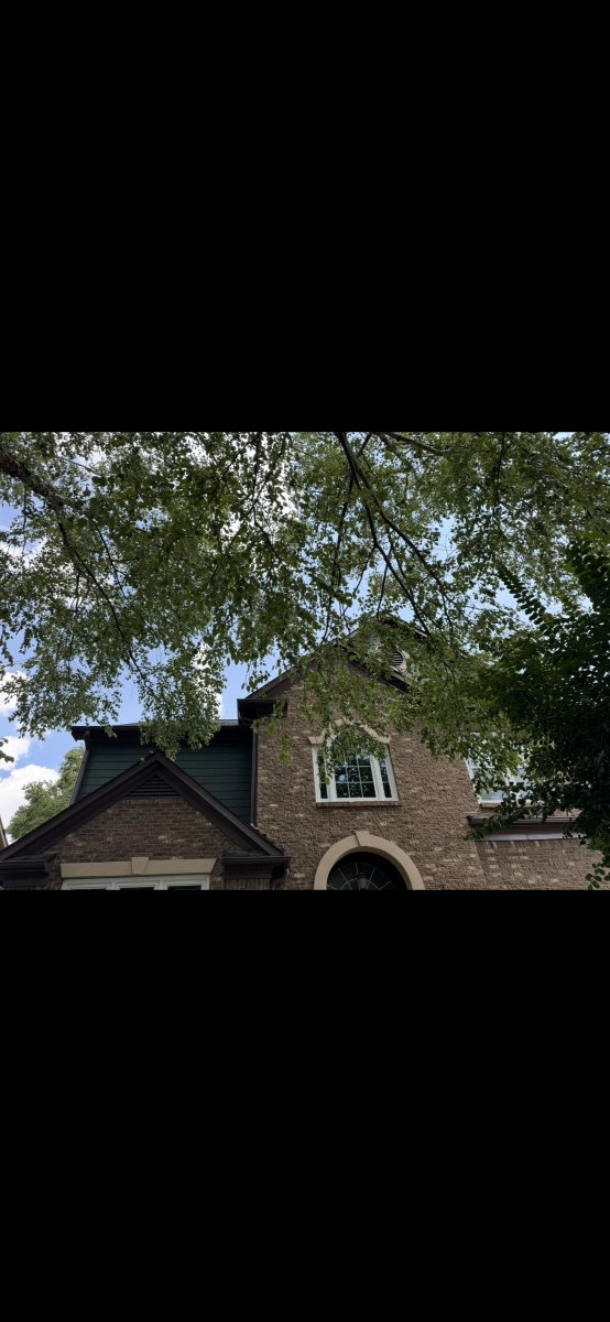 appalachian_of's tweet photo. Powder Springs, GA: river birch pruned away from siding, gutters, and roof with low property impact and careful cleanup. #PowderSpringsGA #TreePruning https://t.co/1McgL99ihJ