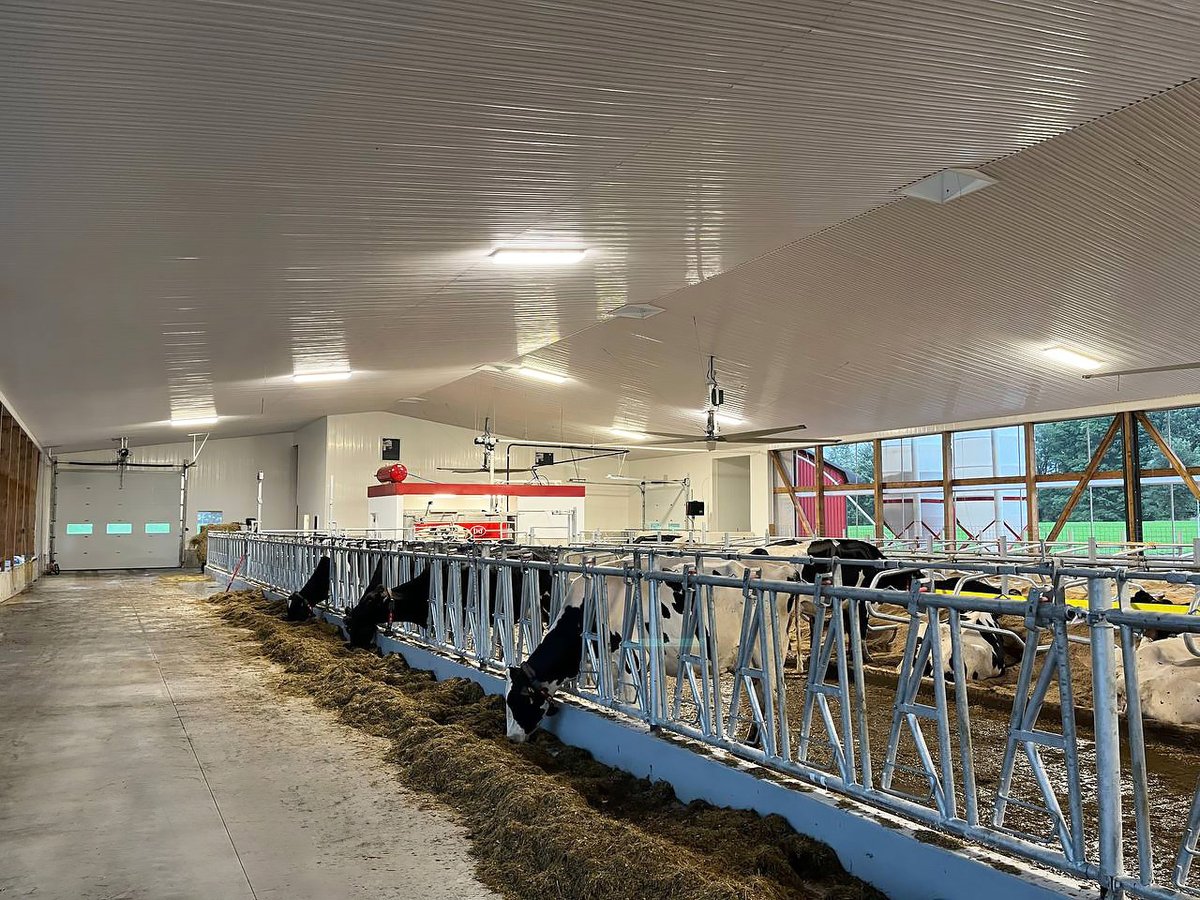 GRRobotics's tweet photo. Earlier this month, our team was thrilled to assist with the official start-up at Newsong Holsteins!
This new barn build features a #Lely A4 alongside a Lely Collector, integrating smart automation to support herd health &amp; operational efficiency.
Congrats to the Elgersma family! https://t.co/vYJhZoFjOR