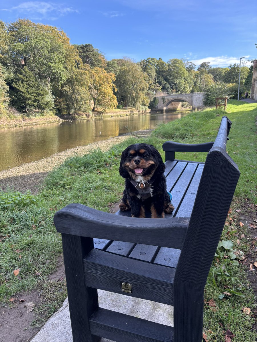 Price27P's tweet photo. Allo pals πItβs our last full day in Northumberland so weβve med the most of it! First stop was Warkworth for a river walk & a look at the castle πβ€οΈ#ArthurOnTour @NicPrice22 https://t.co/ZDZXPKt7O2