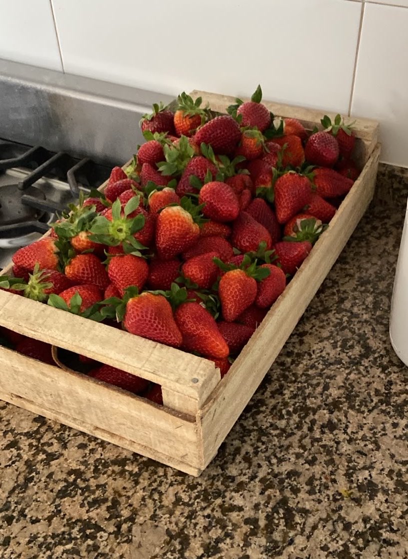 clubatleticots's tweet photo. sabes q empezó la mejor temporada cuando compras un cajón de frutillas GRACIAS DIOS https://t.co/L7f88MjUz9