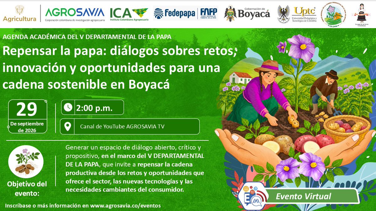 SomosAGROSAVIA's tweet photo. La cadena productiva de la papa enfrenta nuevos desafíos en productividad, sostenibilidad, innovación tecnológica y adaptación a las necesidades cambiantes del consumidor.

En el marco del V Día Departamental de la Papa, AGROSAVIA, a través de la sede Tunja adscrita al #TibaitatáCIT, y la Gobernación de Boyacá invitan al conversatorio virtual “Repensar la papa: diálogos sobre retos, innovación y oportunidades para una cadena sostenible”, un diálogo abierto con actores del sector para compartir perspectivas, experiencias y oportunidades que permitan construir una cadena más competitiva y sostenible.
📅 29 de septiembre de 2026
🕑 2:00 p. m.
🔗 Enlace de preinscripción: https://t.co/msAZ9XVClW
📩 Después de inscribirte recibirás en tu correo el enlace de acceso al evento. ¡Te esperamos!