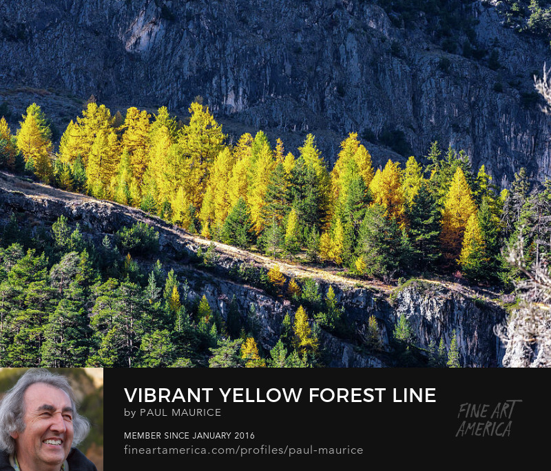 apollo0300's tweet photo. Vibrant Yellow Forest Line
https://t.co/XqGJAf3pnY
#Autumn #ColorsofFall #FrenchAlps #HautesAlpes #PaulCMaurice https://t.co/6PDwqOaMkg