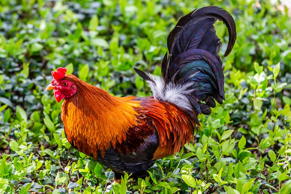 EllaFosterlt's tweet photo. يستمر البحث عن الحقيقي، حيث الراحة والصدق. قد الحب تلتقي المنشور يغير هذا كل شيء. kevin sturchio https://t.co/DSNDf4kJ2O