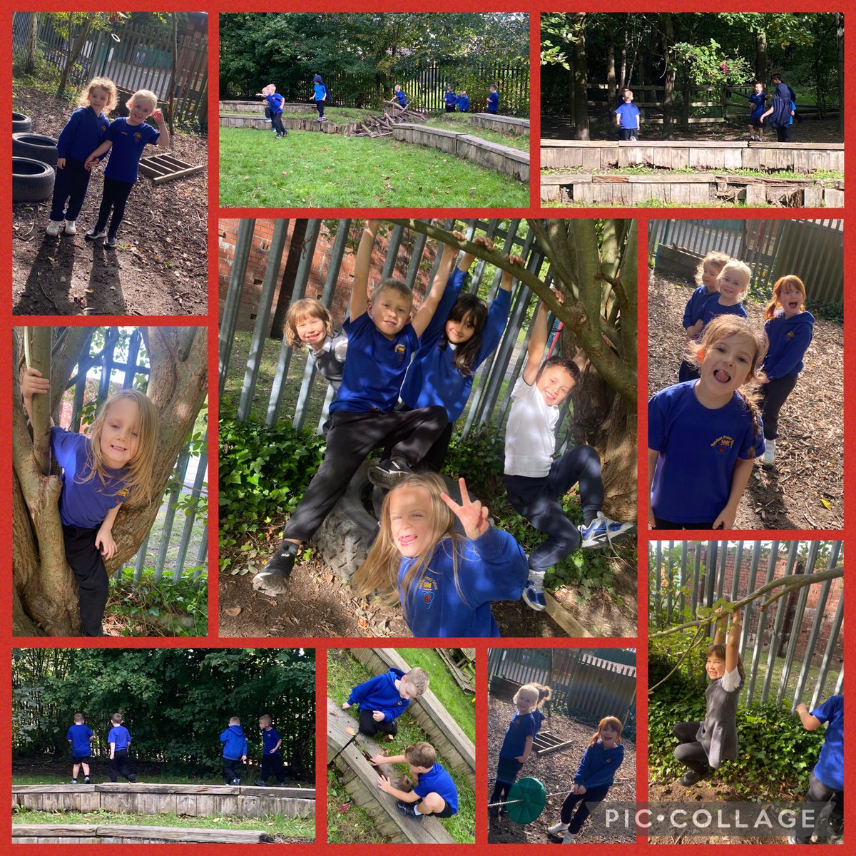 Parkfield's tweet photo. The #Y1 class had a #ForestSchool lesson today. It was great to be in the sunshine π https://t.co/i5JJyJtPB5
