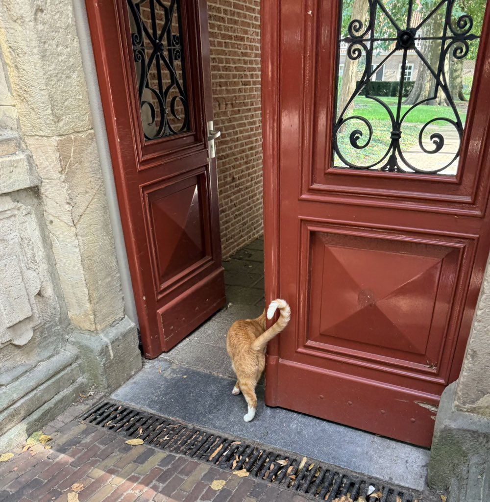 course8cheduler's tweet photo. #AlphabetChallenge #WeekLforLookingIn https://t.co/ngHJ7BDtSB