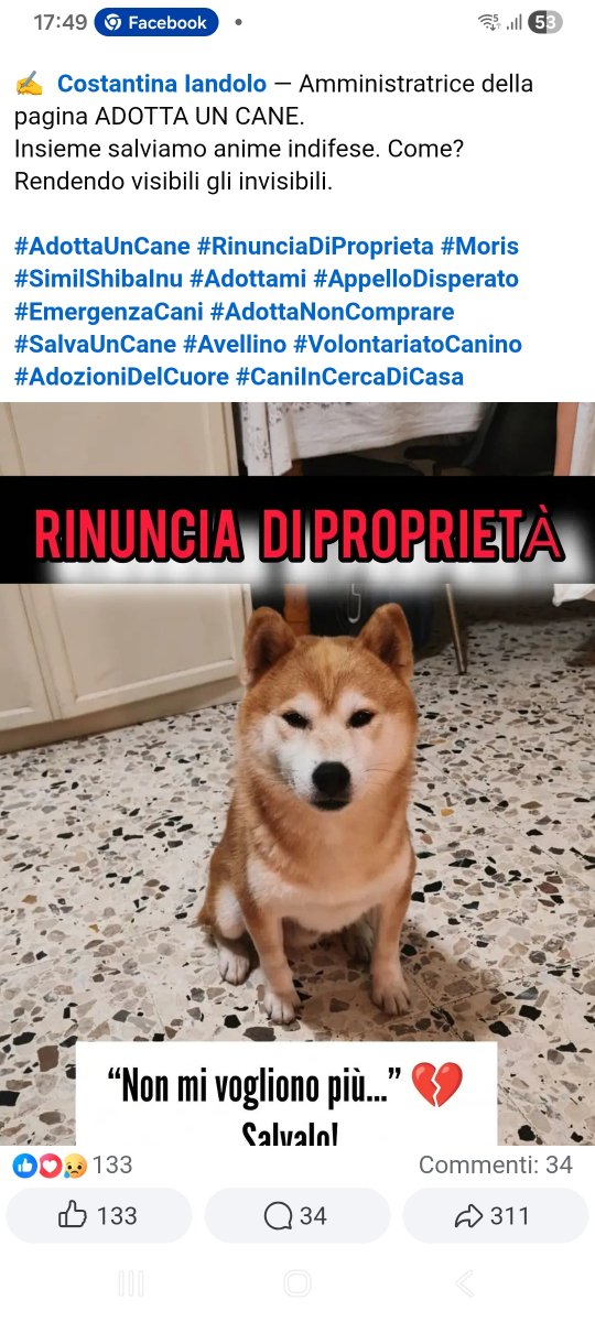 annina_cutillo's tweet photo. https://t.co/ujdwTsUynA