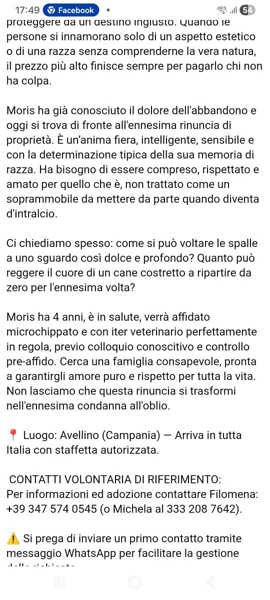 annina_cutillo's tweet photo. https://t.co/ujdwTsUynA