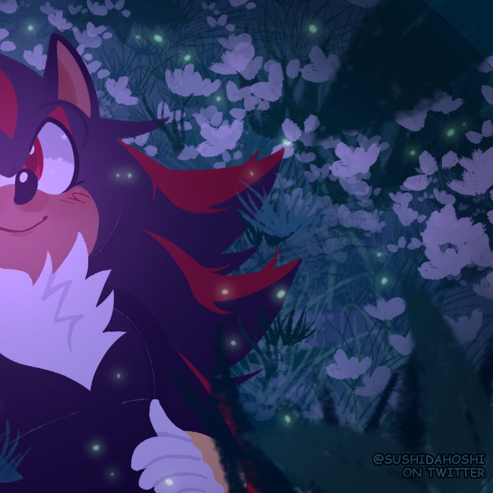 sushidahoshi's tweet photo. Looking to the Stars 💫 #Sonadow #Shadonic https://t.co/nyvAmCaBvh