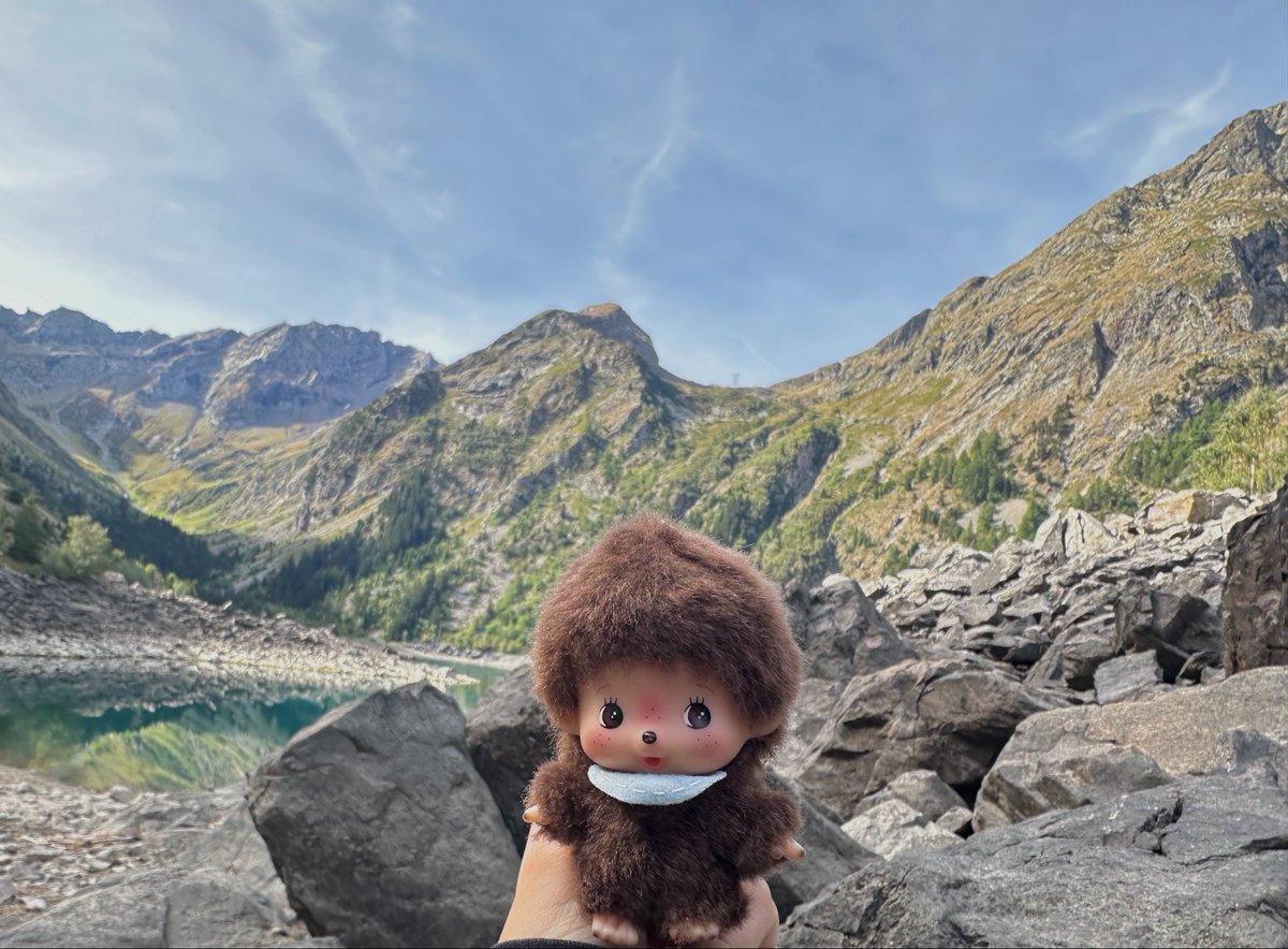4haniki's tweet photo. Bebichhichi on a hike :3 https://t.co/Ae0rrpYTDm