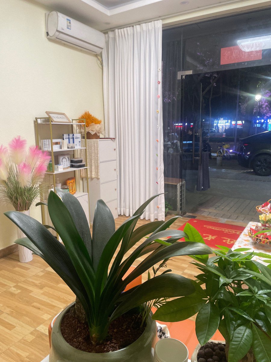 LakeeshaThhgr's tweet photo. Hoy encontré una rosa marchita entre las sábanas mientras doblaba la ropa, pequeo detalle que hace el día más cálido! https://t.co/3LKuWJE2Du