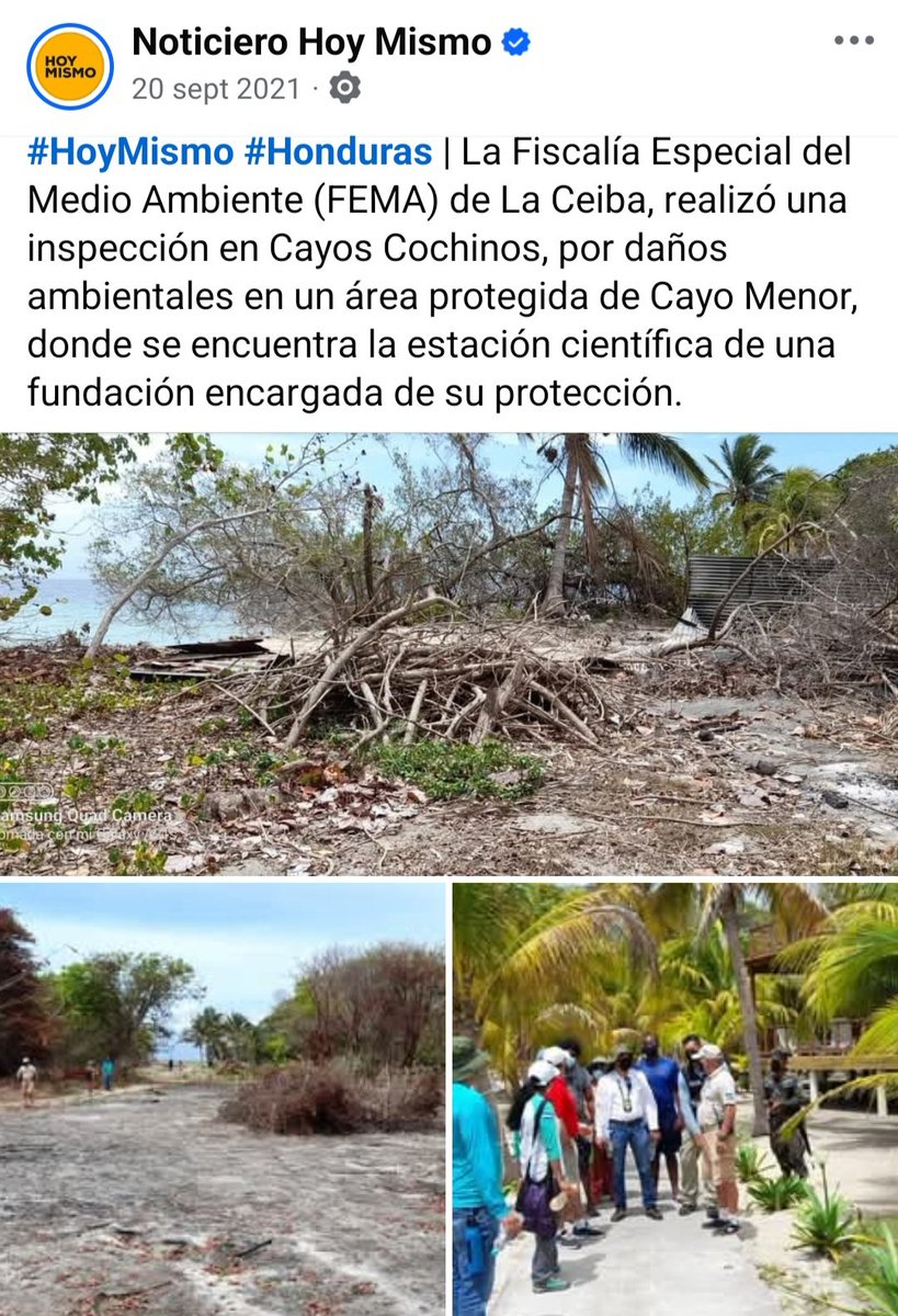 zela3700's tweet photo. @JavixuRoca @LaRana_Oficial_ NOTICIAS FALZAS DE LA FUNDACION CAYOS COCHINOS UNA ONG CORRUPTA Y ALIADA DE CUARZO, TELECINCO Y SUPERVIVIENTES. ESA FOTO ES DE FUNDACION CAYOS COCHINOS ELLOS SI METEN FUEGO Y DEFORESTAN https://t.co/M9WOicoUWl