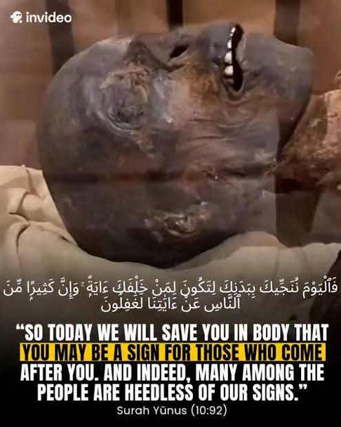 AAvkaya's tweet photo. @Mossssslulu This your future end, like Eyvptian King Phraoh. https://t.co/Nv46PhS66e