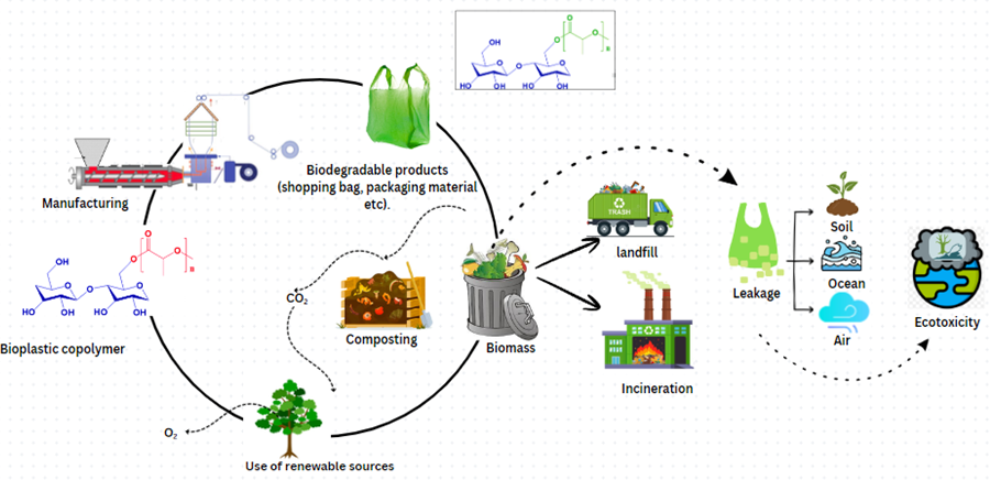 BioResJournal's tweet photo. #Bioplastics help reduce plastic pollution?
This review examines PLA, PHA, PBS, starch &amp; cellulose-based bioplastics, their applications, production methods, degradation products, &amp; ecological toxicity.
https://t.co/libHZ4anUV
#BioResJournal #SustainableMaterials #CircularEconomy https://t.co/9EFmhogf3T
