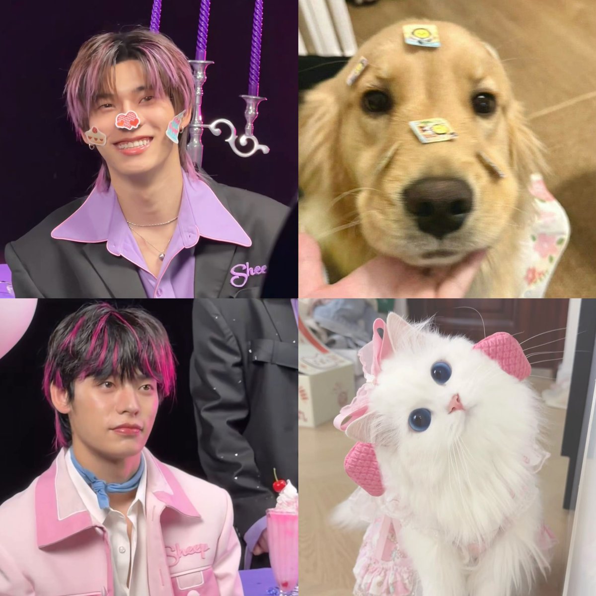 5percentmarch's tweet photo. สำเนาถูกต้องงงงง 🎀💐💘✨

SHEEP KUROMEKELODY JIEJIEPIPPIP
#SHEEPxTeeTeePor https://t.co/mBm3kZ6ObK