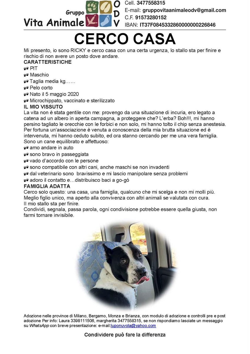 patti_baldassi's tweet photo. Eccolo https://t.co/yihz2hvOcx
