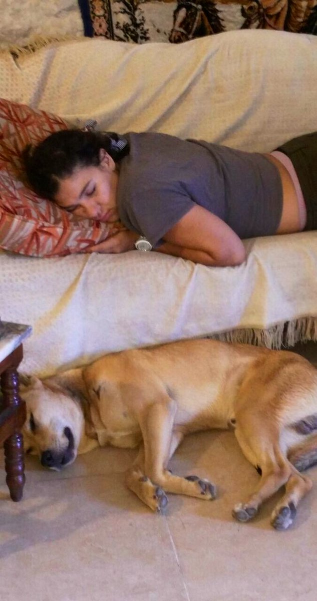 Doggof9's tweet photo. $DOGGO = PERSON 😴 == DREAM 💭 https://t.co/kjIclTAmI5