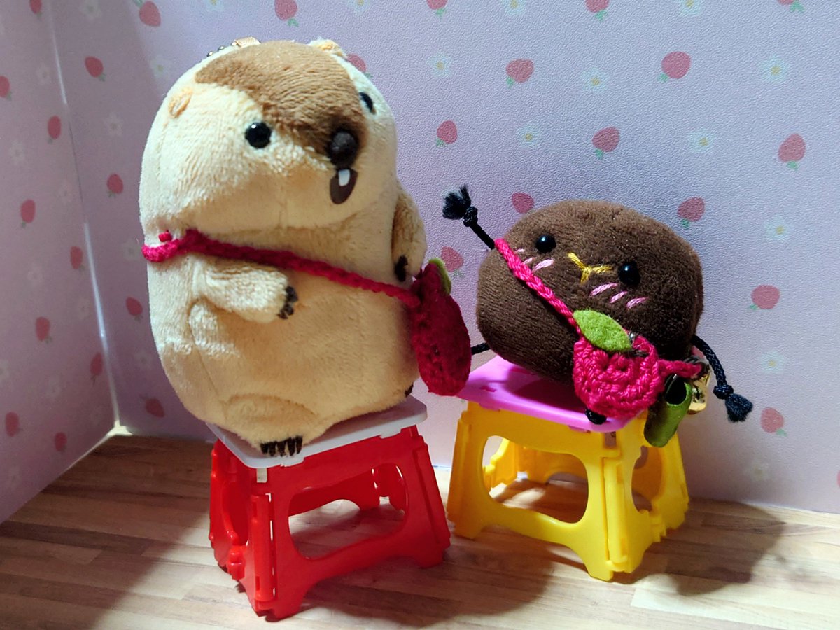 usagi_kaiunP's tweet photo. おりたたみの、いす！！
せがたかくなったきぷん♪♪
( *´ Y `* )

＃うさぎのうんピ●の妖精
＃はむにぎり https://t.co/1MMZ3e3JaT