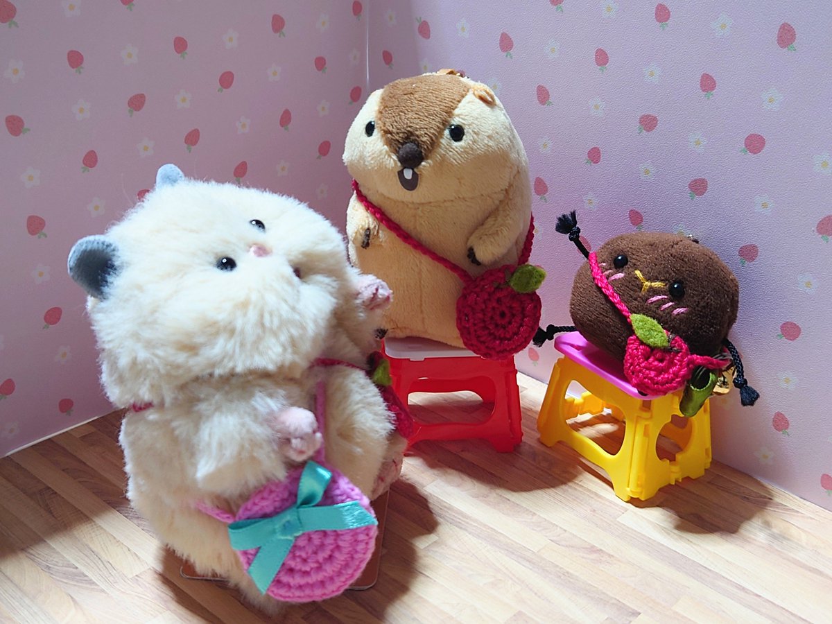usagi_kaiunP's tweet photo. おりたたみの、いす！！
せがたかくなったきぷん♪♪
( *´ Y `* )

＃うさぎのうんピ●の妖精
＃はむにぎり https://t.co/1MMZ3e3JaT