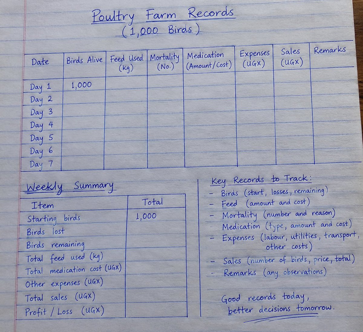 simplyme977's tweet photo. Most poultry farmers in Uganda are not not good at recording down farm details 
In farming, what you don’t record, you can’t measure.
Keep track of feed, medication, mortality, growth, sales &amp; expenses. At the end of the cycle, those records tell the real story of your farm. https://t.co/N5JHnyFT31
