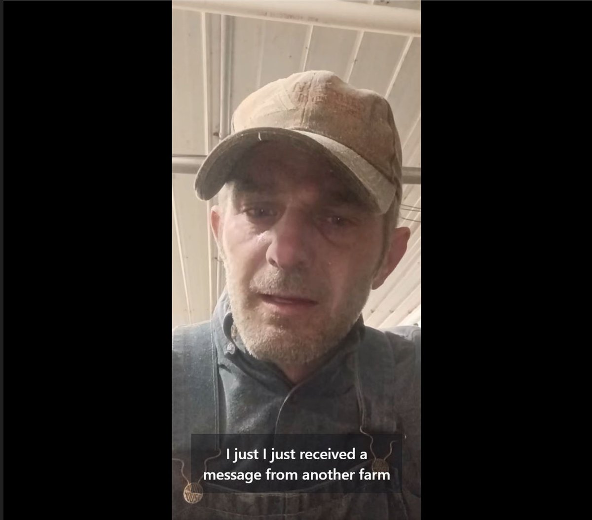 Ravious101's tweet photo. THIS IS HEARTBREAKING and it should make every single patriotic American absolutely PISSED OFF. 
Look at this face. This is Tristan Swartz from Doing It Wrong Dairy out in Gilman, Wisconsin. He’s a multi-generational independent American farmer milking 50 cows the old-school way. He’s out there working his hands to the bone, 80+ hours a week, trying to keep a traditional way of life alive.
And what does he get for it? Squeezed out by a corrupt, broken system.
He completely exposes the absolute disaster facing our food supply. Small family farms aren't failing because our farmers got lazy. They are being intentionally suffocated by a government-backed "cheap food policy," insane regulatory overreach, and corporate Big Ag monopolies that fix the prices to line their own pockets while driving real Americans into bankruptcy.
We are losing roughly 50 farms a DAY in this country. Think about that! The literal backbone of America—the people who feed us—are being driven into the dirt by corporate globalists and corrupt politicians from both sides of the aisle who don't give a damn about rural communities.
The system wants everything corporate, automated, and hyper-regulated so they can control the entire supply chain. Tristan’s caption about a neighbor's animal finding its way to his place shows what's left: small, hardworking communities being forced to band together just to survive the collapse.
Wake up, America! If you eat food, you need to be furious about this. When the family farm dies, American self-reliance dies with it. We need to stop relying on big-box corporate grocery cartels, fight back against tyrannical agricultural regulations, and start buying directly from the men and women who sweat over this land.
Enough is enough. Stand up for our farmers.