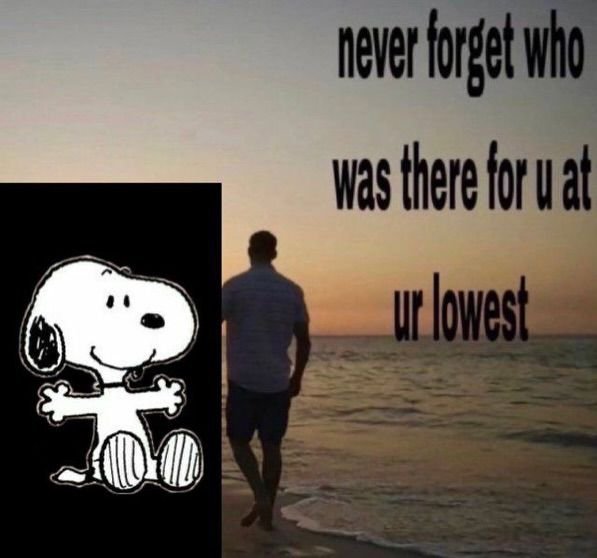 snooopymemories's tweet photo. https://t.co/iEZ8dOOYll